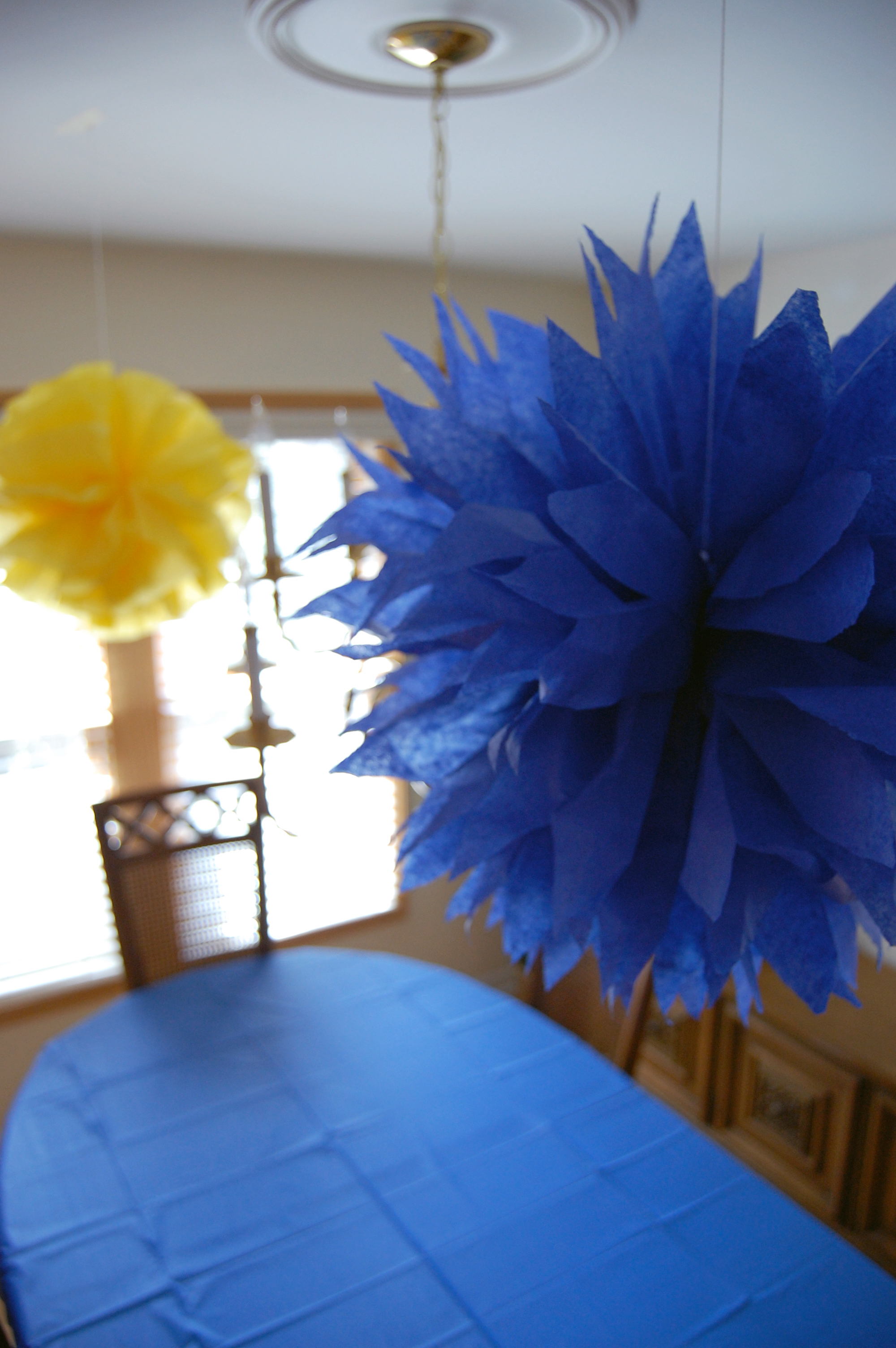 Tissue Pom Poms