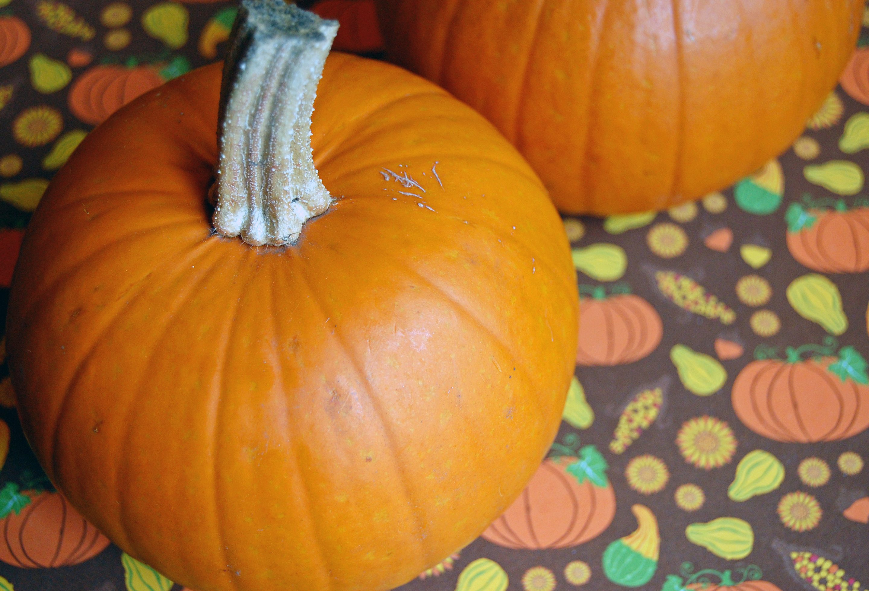 Pie Pumpkins Pie Pumpkins